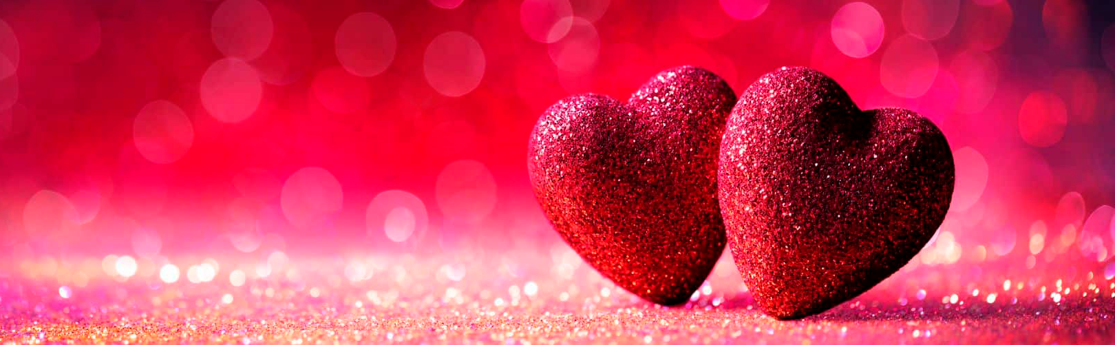 Conclusion de l'article